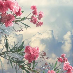 阳台边的落地窗