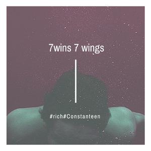 7wins 7wings