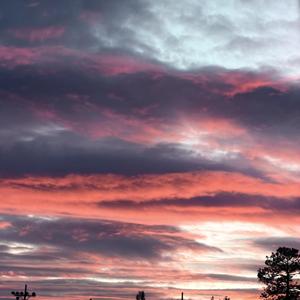 Before The Bars Had Signal