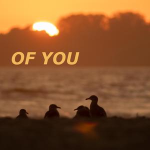 OF YOU