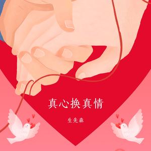 真心换真情