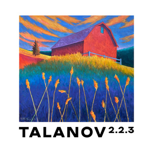 Летів пташок