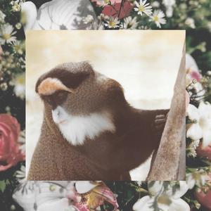 Don't Know Don't Care