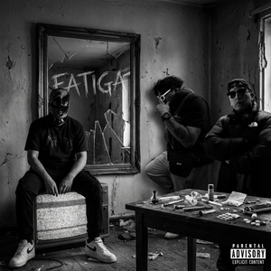 Fatiga