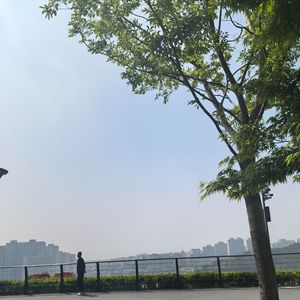 裂缝里的诗