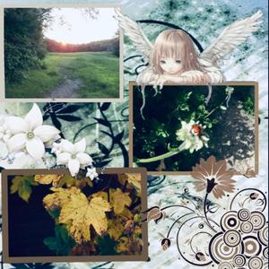 wish (feat. Javacats)