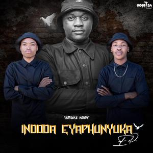 Amanga Amasha (feat. BabaDee, Stuurman, Lulow_rsa, Umzingeli & The cool guys)
