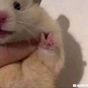 少年（prod by weloveziho）