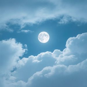 细雨飘零浸心湛