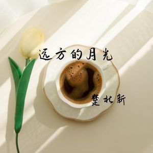 远方的月光