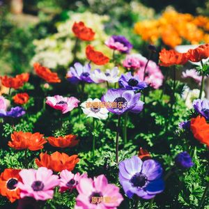 适合在家里工作有魅力的音乐