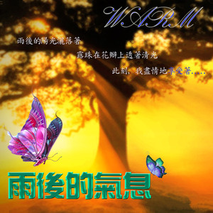 夏日雨季後的陽光