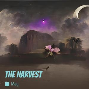 The Harvest