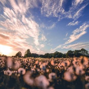 晨曦微风（钢琴曲）