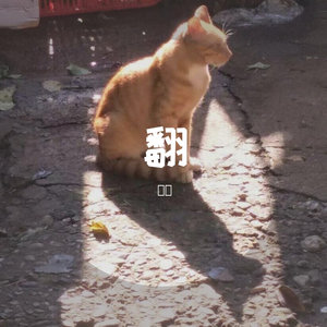 爱相随（cover 周华健）（翻自 鲁向卉）