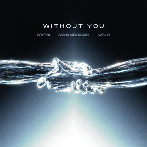 Without You (feat. Sasha Alex Sloan)