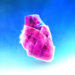 ยิ่งห้ามยิ่งยุ (YHYU)