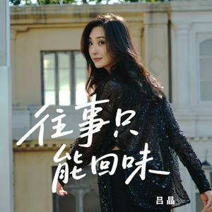 往事只能回味 (优雅慢摇版)