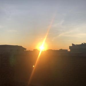 蒲公英飞（Original Mix）