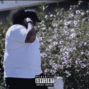 Easy Facts pt2 (Radio Edit)