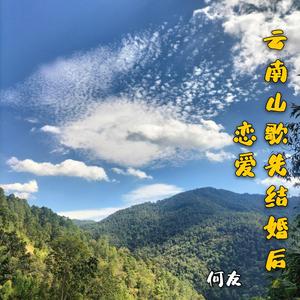云南山歌你说要讨我回家（DJ何友版）