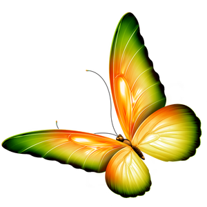 梦在深巷12261814