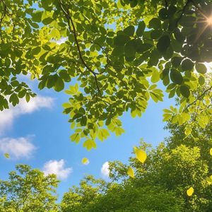 都市丛林里的宁静岛