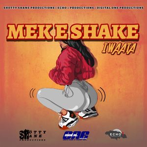 Mek E Shake
