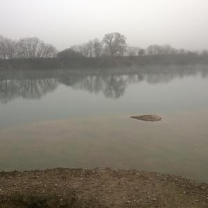 The Summoning of He whose Voice is the Forest (Necro Edition)