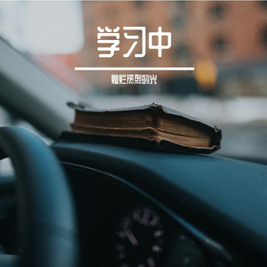 所念皆星河（cover房东的猫）