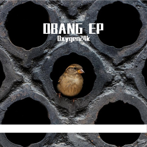 OBANG