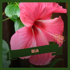 Tried And Found Guilty