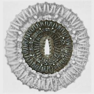 BACKDOOR (feat. BBL6) (feat. sasbo & BBL6)