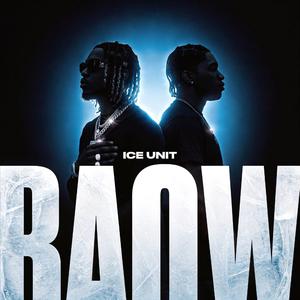 BAOW