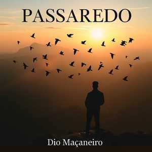 Passaredo