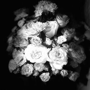 躲着地球偷偷亲月亮