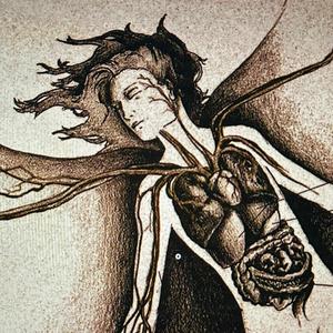 Turritopsis Dohrnii / Embryo