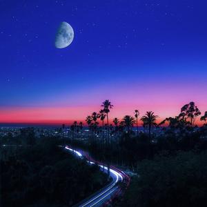 藏式 降龙十八掌