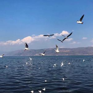 口水旋律 Vol 148