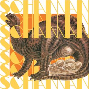 SCHAMAN