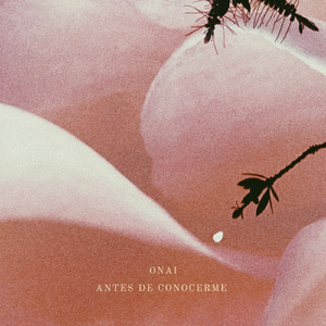 Tiempo Conmigo (Bernstein's Reinterpretation)