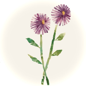 ハルシオン (Unplugged Ver.)