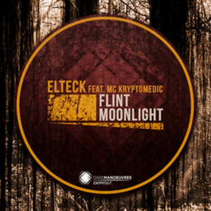 Flint (feat. MC Kryptomedic)