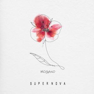 Mogano