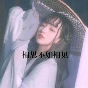 这条街(最火版)