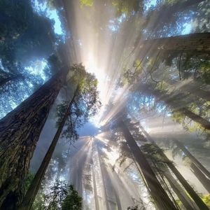 活（Prod. Lisure）