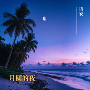 月圆的夜