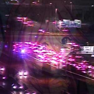 私たちへの愛はありません