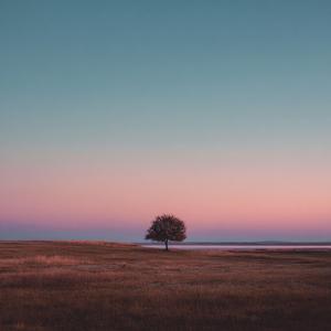 남겨진 사람의 노래