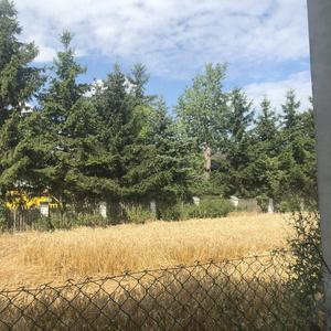 和我去旅行（Demo）